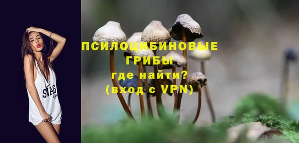 кокаин Богданович